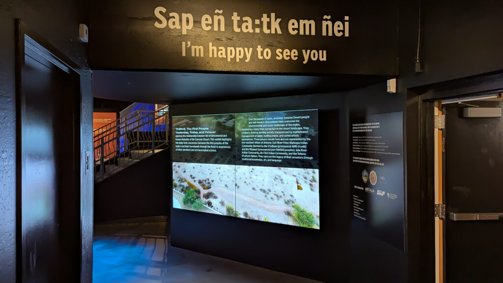 THRIVE video Installation at Arizona Museum of Natural History