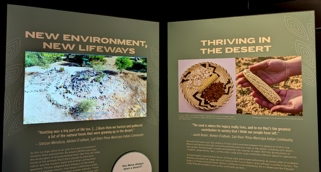 THRIVE video Installation at Arizona Museum of Natural History