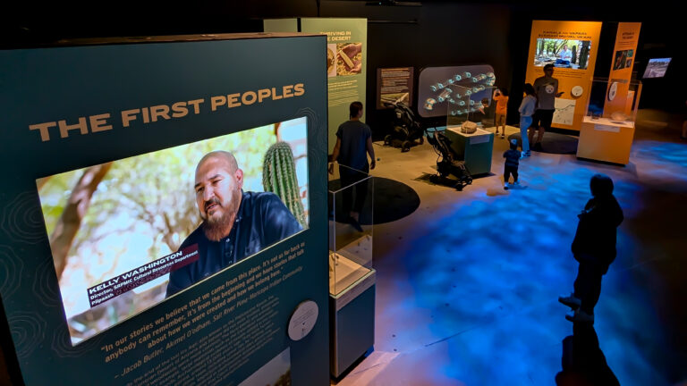 THRIVE video Installation at Arizona Museum of Natural History